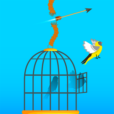 Free Bird