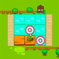 Frogs Find The Path