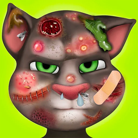 Funny Cat Fix Up