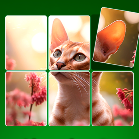 Jigpic Solitaire